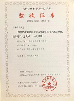 從抗疫良方到餐桌新寵 武漢成功試種抗病毒板藍(lán)根青菜“菘油1號”