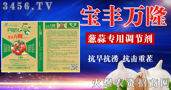 北斗星:鑫宇綠葉,減少養分流失,改善土壤結構!-公司新聞_火爆農資招商網【3456.TV】